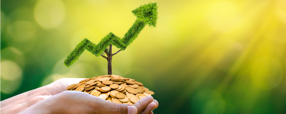 Does taking a sustainable path lead to financial growth?