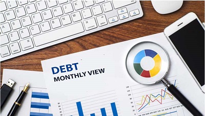 Debt monthly view for August 2022
