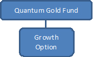 Quantum Gold Fund