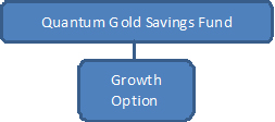 Quantum Gold Saving Fund