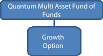 Quantum Multi Asset Fund