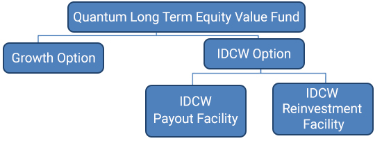 Quantum Long Term Equity Fund