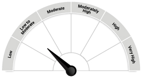 Quantum Long Term Equity Fund