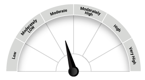 Quantum Long Term Equity Fund