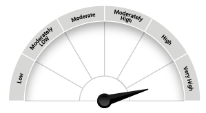 Quantum Long Term Equity Value Fund 