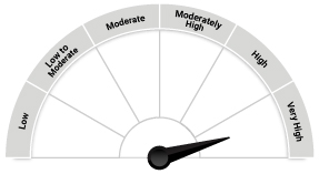 Quantum Long Term Equity Value Fund 