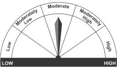 Moderate Risk