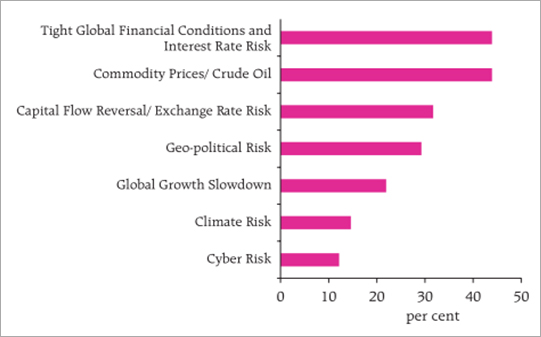 Potential risks to financial stability as per the RBI