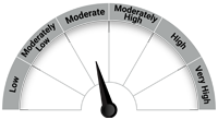 Riskometer - Moderate Risk