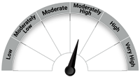 Riskometer - Moderately High Risk